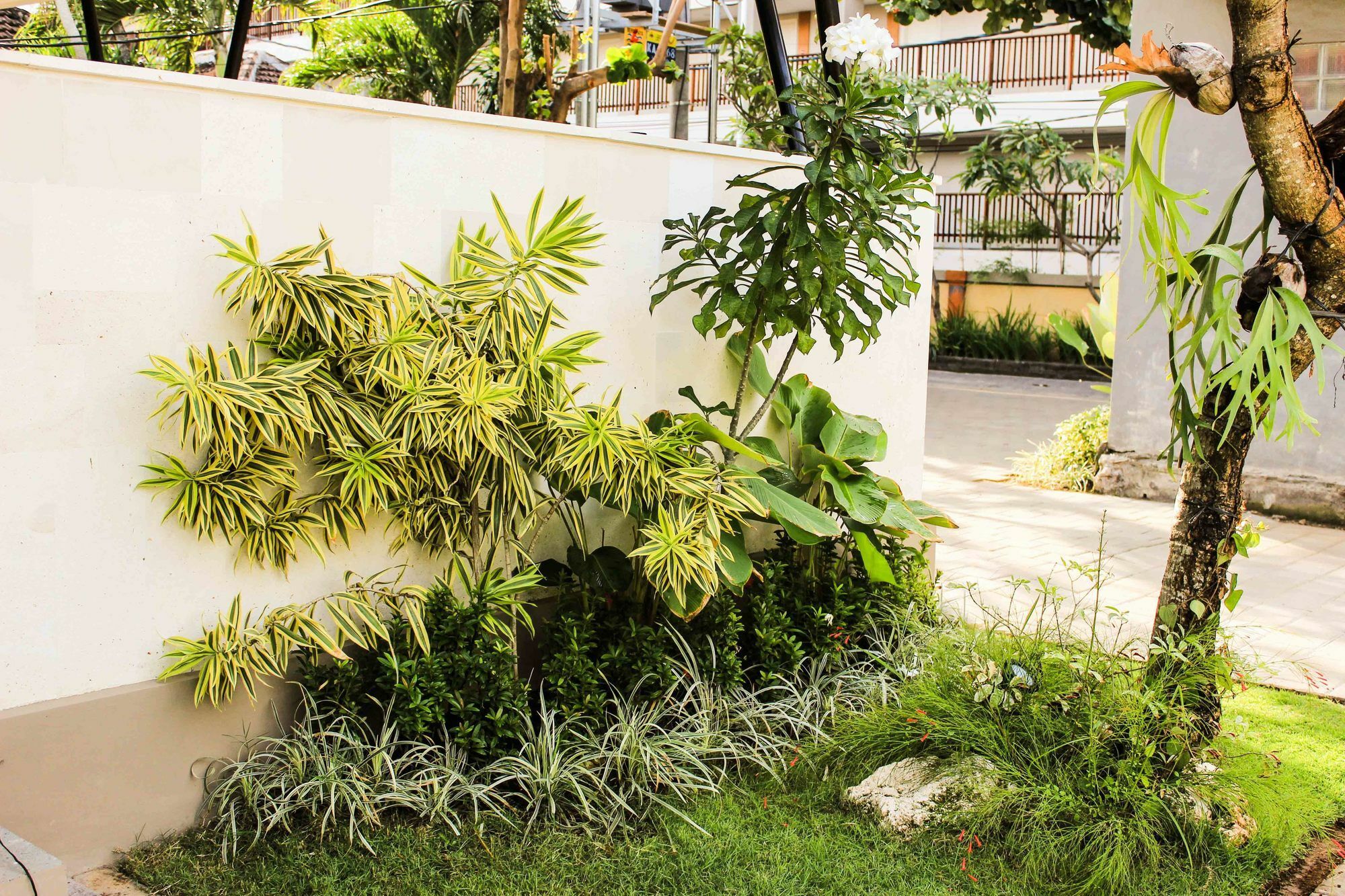 Kemuning Kuta Hotel Exterior foto